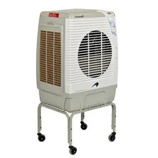 Cool air air cooler
