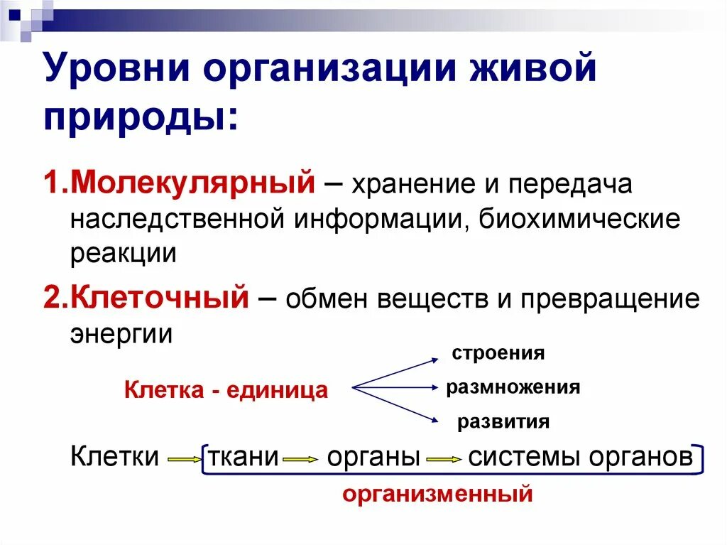 Уровни организации. Ровни организации живой природы». Уровни структурной организации живой природы. Уровни организации биология. Условия организации живого