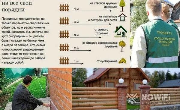 Закон посадке деревьев. Нормы высадки деревьев от забора. нормы посадки деревьев на даче. норма посадки кустарников от забора. нормы посадки деревьев от забора соседа.