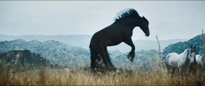 ветре 3 ый. ветре 3 ый. восточный ветер 3: наследие оры (2017). ветер. весенний ветер.