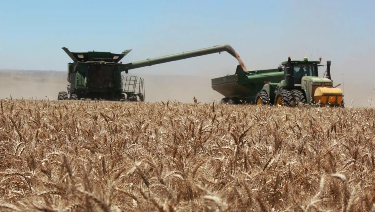 Сельское хозяйство Российская Империя пшеница. Wheat Production. Russian Agricultural Production. Wheat Exports 1985-1990 in millions of Tones. Russian opinion