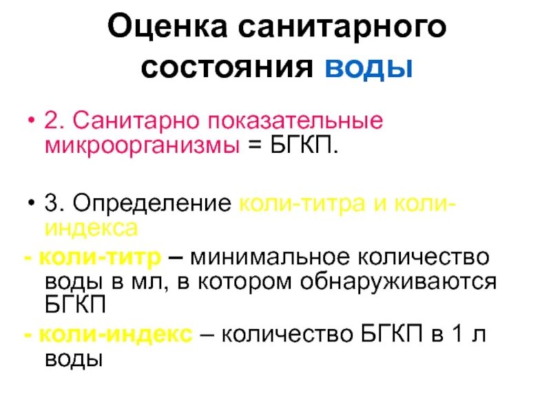 Число бактерии