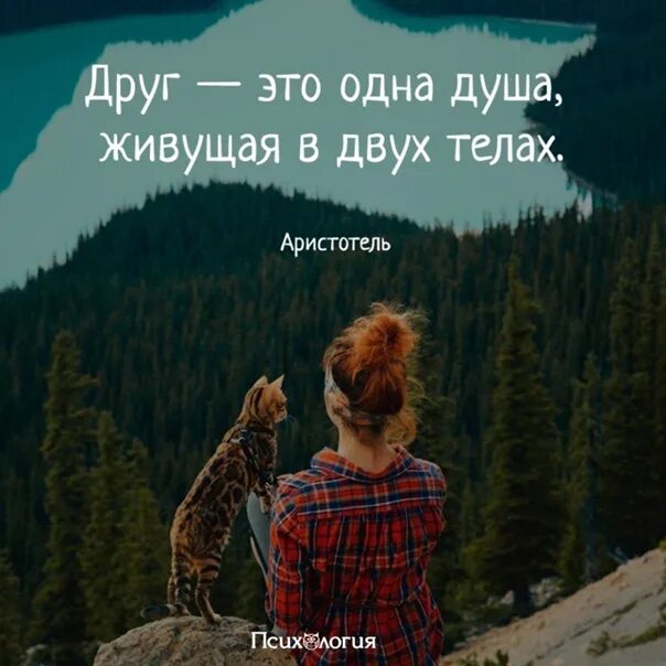 Там жили в душу душа. Друг это одна душа в двух телах. Друг это одна душа живущая в двух. Друг это одна душа живущая в двух телах Аристотель. Аристотель о друге:одна душа.....