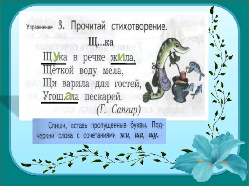 Стихотворение про щуку. Стихотворение щука в речке. Щука живет в реке. Стишки со словами на букву щ. Буква щука