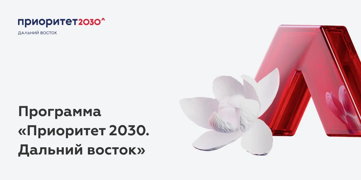 Приоритет 2030. Программа приоритет 2030 презентация. Приоритет 2030 лого. Приоритет 2030 фирменный стиль. Приоритет 2030 сайт.