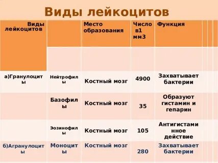 Место образования