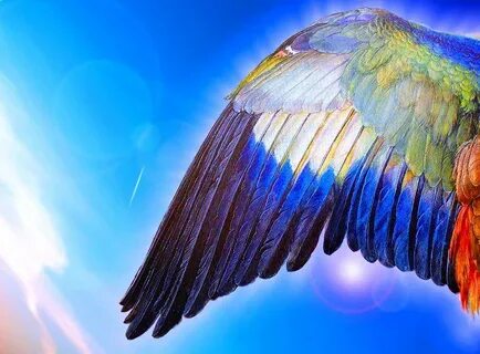 Слушать нам подрезали крылья но мы ползли