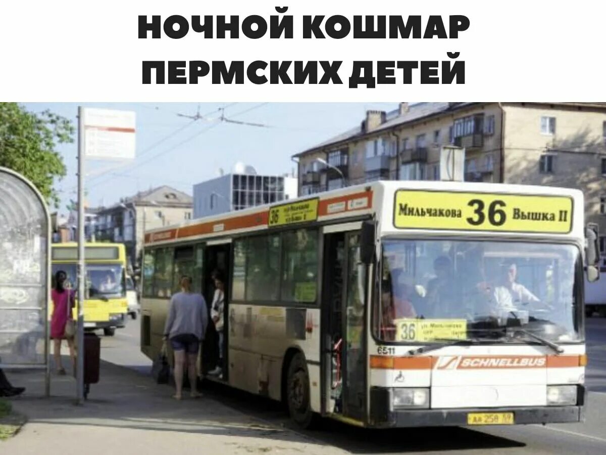 Автобус пермь тюмень. Автобусы Пермь. Автобус 36. 36 Автобус Пермь. Маршрут 36 автобуса.