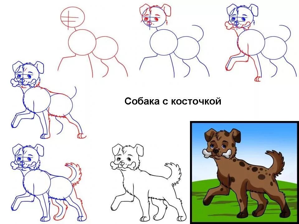 Поэтапное рисование собаки. Поэтапный рисунок собаки. Собака рисунок карандашом. Лёгкие рисунки собак.