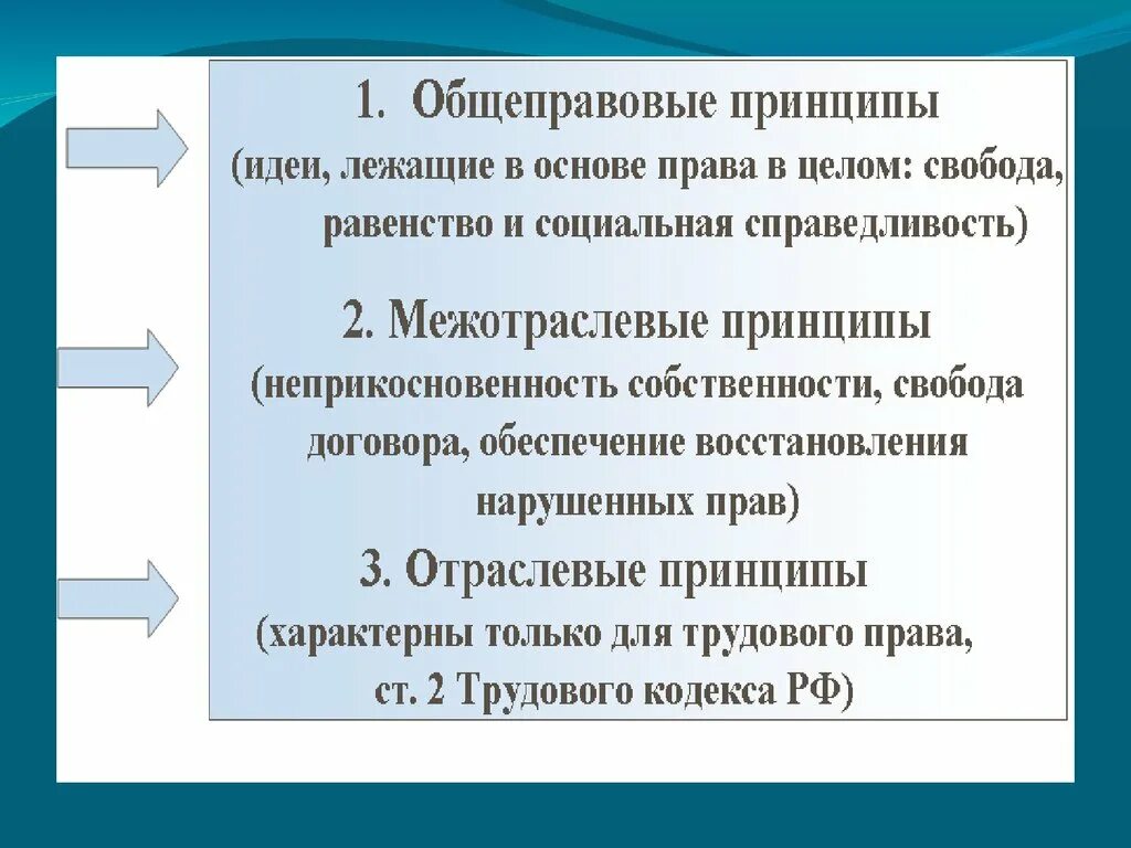 Общеправовым принципом является