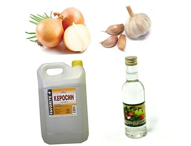 Народное средство от гр бка. Средство с уксусом для уборки. Глисты народные средства. Народный способ вывести. Грибок на ногах народные средства.