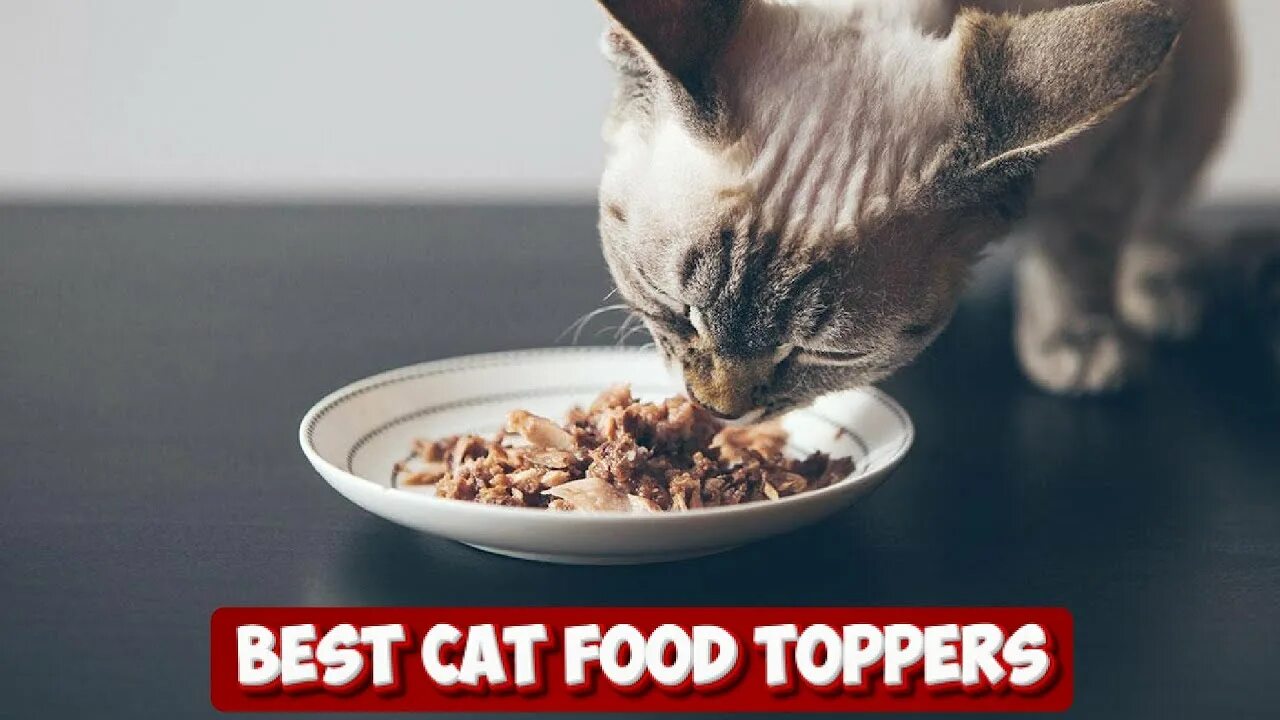 Feed on them. Feed on them