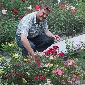 Зенин михайловск. Зенин михайловск