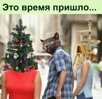 Ели остановилась