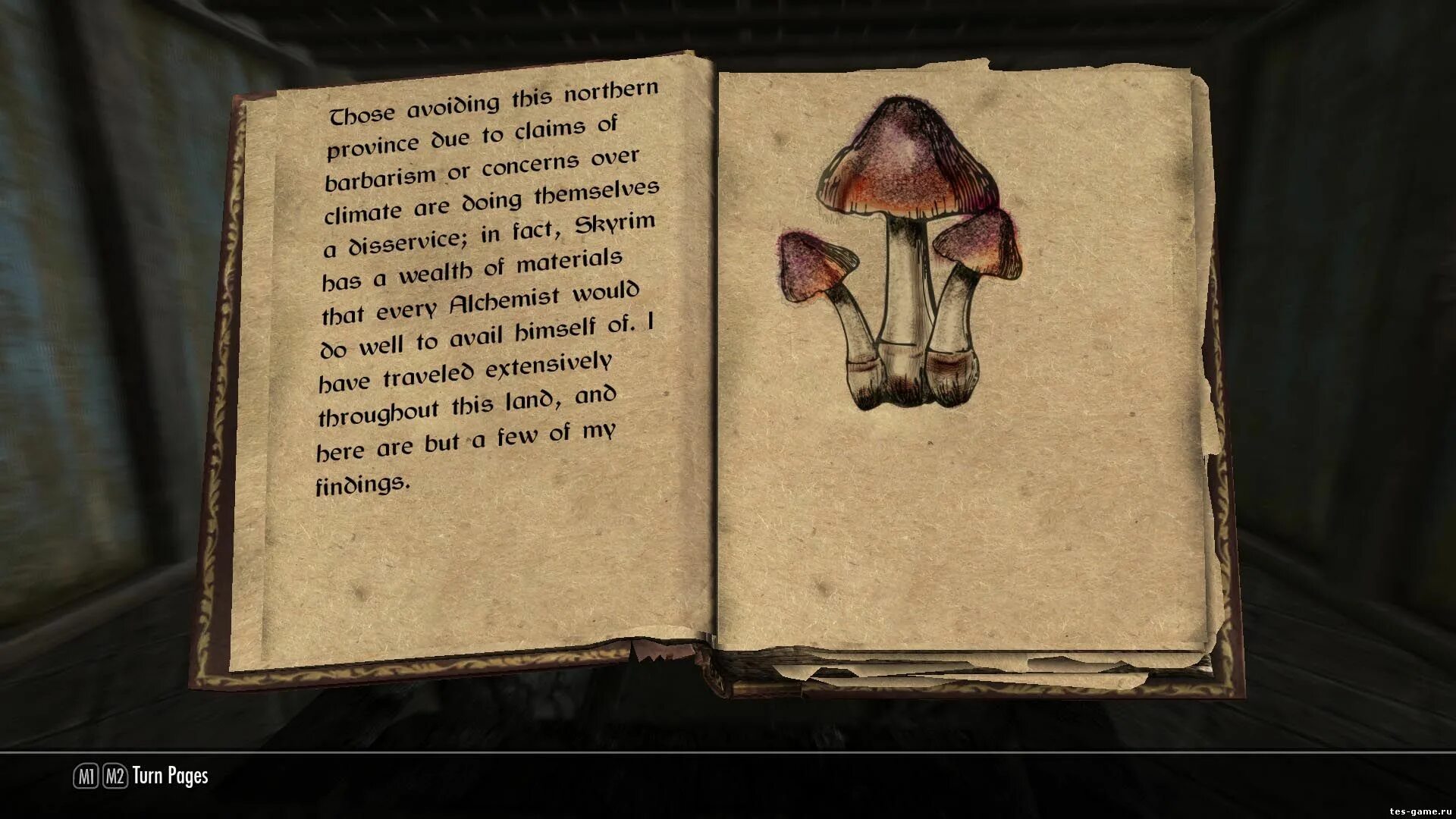 Старая бухгалтерская книга. Хроники. Библиотека скайрим. Skyrim мод книги. Книги в скайриме.