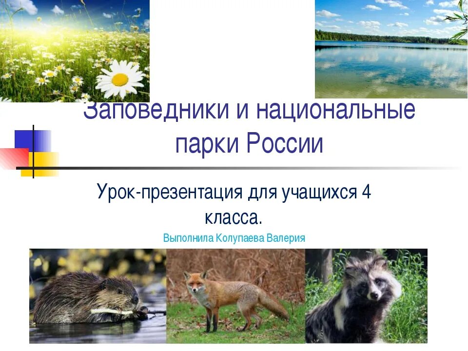 Проект заповедники россии 4 класс. Национальные парки России. Национальные парки России презентация. Заповедник национальный парк России. Заповедники и национальные парки России 4 класс.