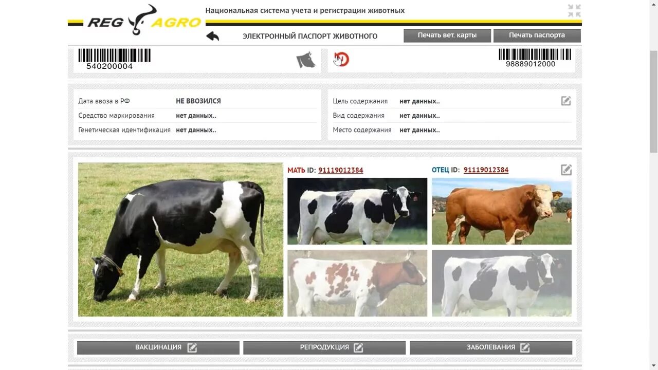 Система учета домашних животных. Учет и идентификация животных. РЕГАГРО.