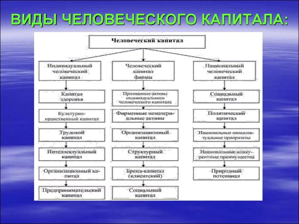 Человеческого капитала финансово. Виды человеческого капитала. Структура человеческого капитала. Человеческий капитал примеры. Структура видов человеческого капитала.