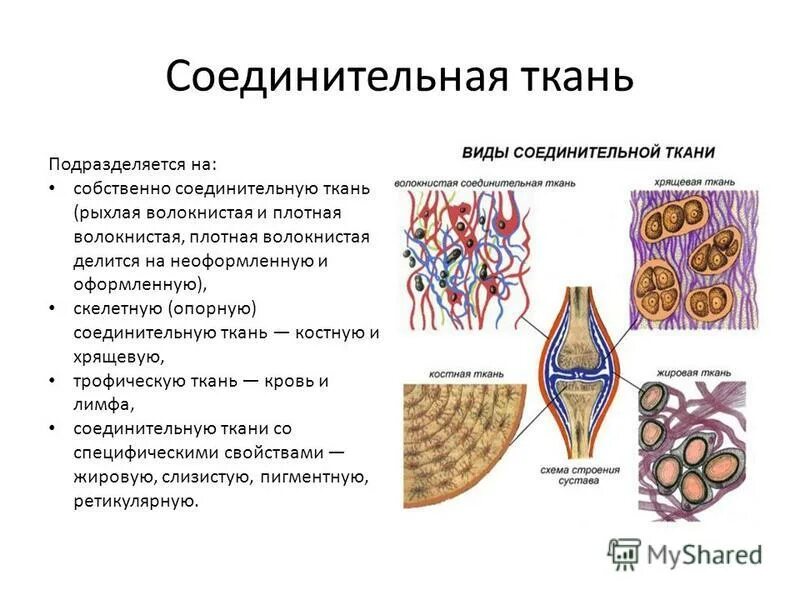 Соединительная AnikStroy.ru