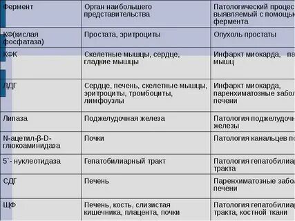 Роль ферментов в печени