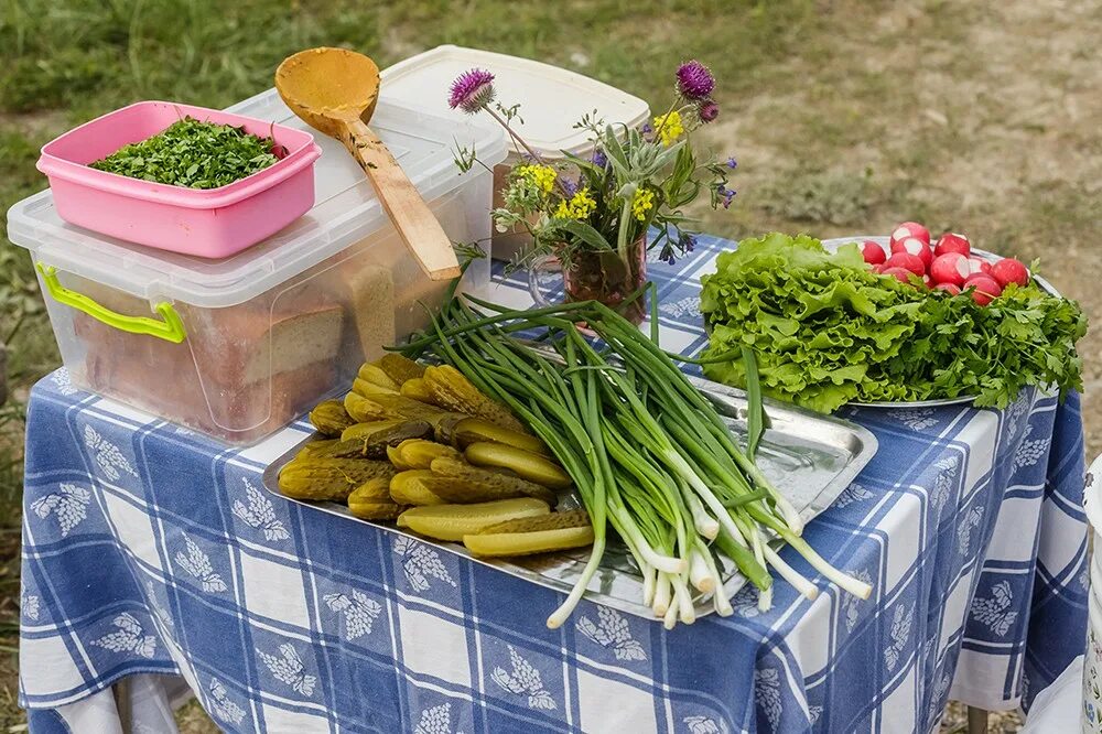 Что из еды можно взять на природу. Продукты на пикник. продукты на природу. еда на природе. продукты для пикника на природе.
