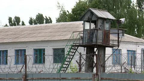 Ик 1 воронежская область