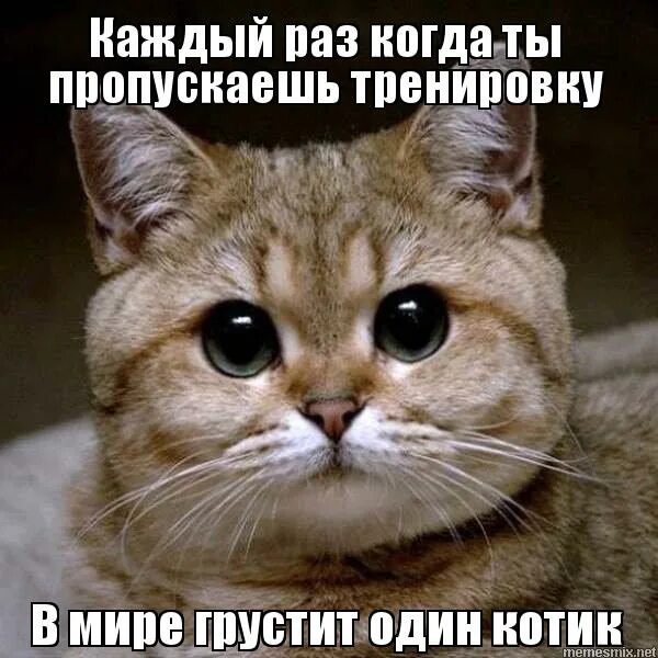 каждый раз когда