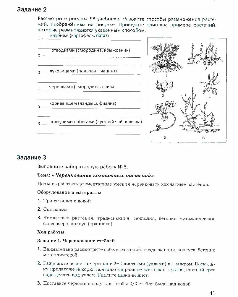 Черенкование комнатных растений лабораторная работа 6 класс. Лабораторная работа черенкование комнатных растений ответы. Биология рабочая тетрадь стр 41 6 класс Пономарева. Лабораторная работа «черенкование растении» комнатное растение. Черенкования комнатных растений 6 класс биология учебник Пономарева.