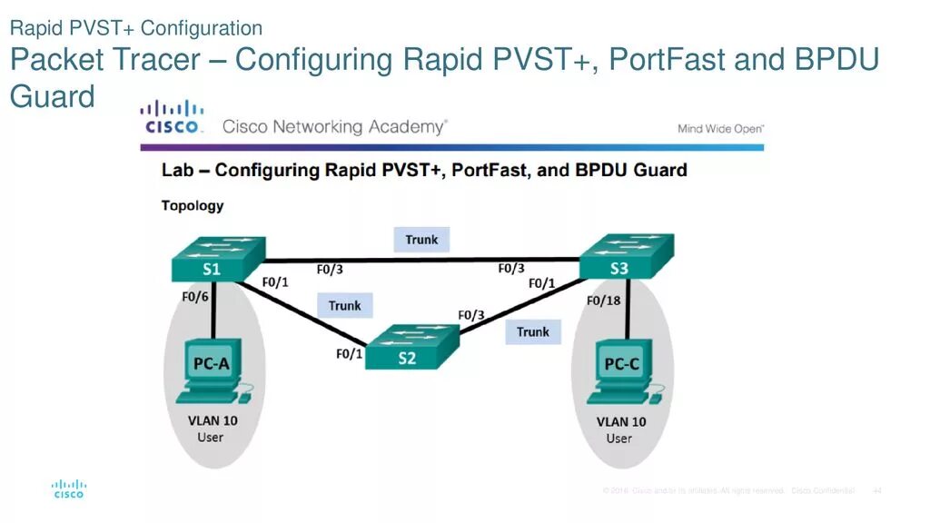 Scaling networks