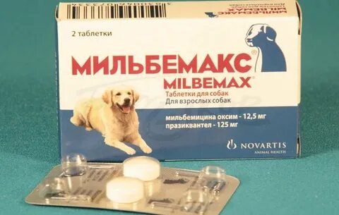 После приема мильбемакс