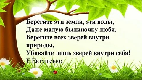 Почему говорят что природа не прощает ошибок