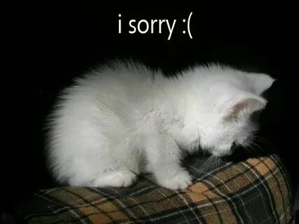 Sorry to correct you but