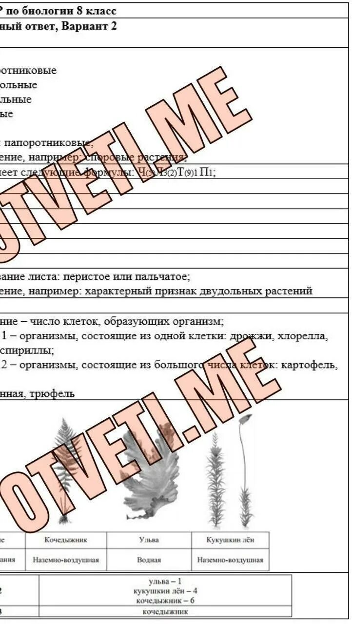 Решение впр по биологии 8 класс. ВПР по химии 8 класс 2022. ВПР по биологии 8 класс 2024. ВПР 7 класс биология ответы. ВПР по биологии ответы 2024.