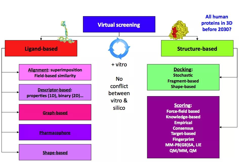 Drug structure. Screening. Product management team structure. Structure-based drug design. Bcl химия.