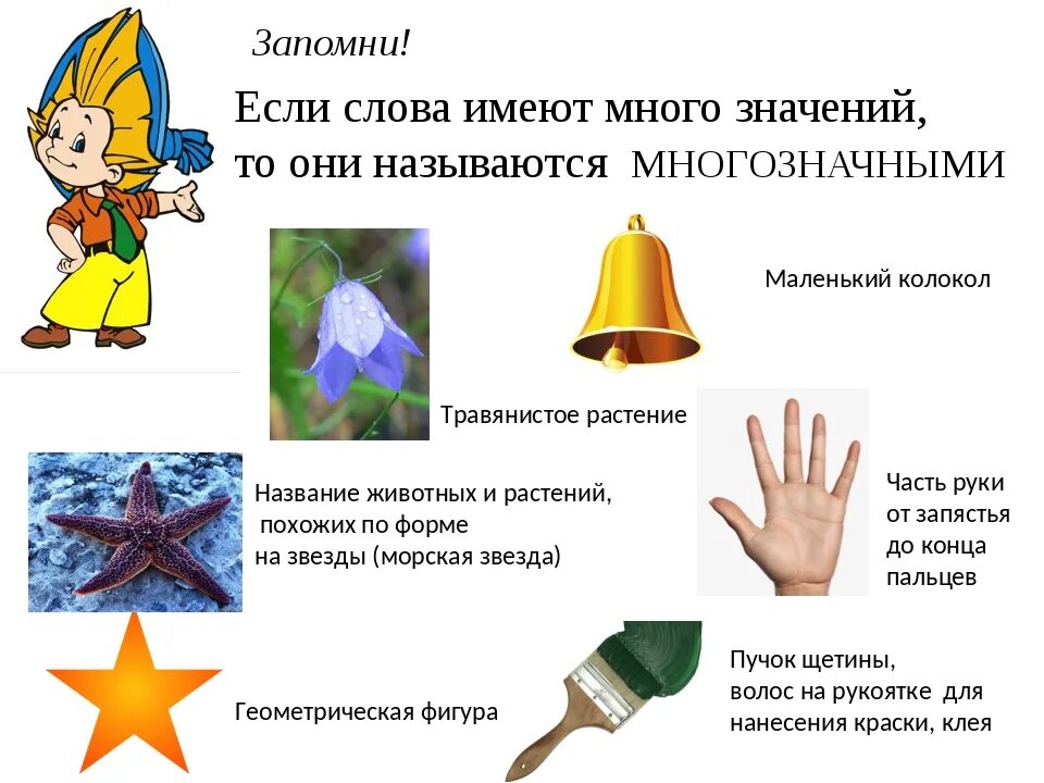 Слова с многозначным значением. Многозначные слова. Однозначные и многозначные слова. Многозначные слова примеры. Многозначные слова 1 класс.