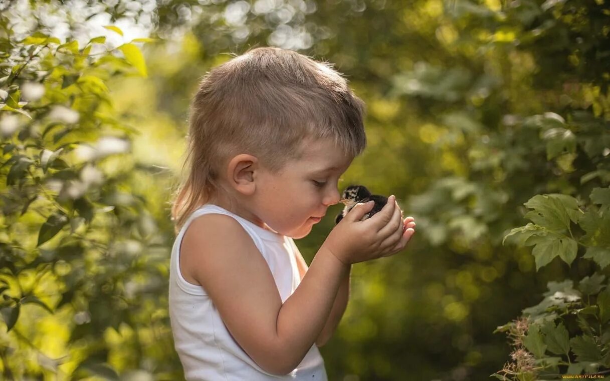 Child nature. Дети и природа. Малыш на природе. Маленькие дети на природе. Любопытный ребенок.