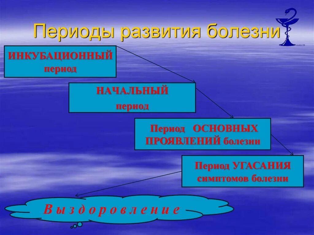 Периоды развития болезни. Период основных проявлений болезни. Инкубационный период развития болезни. Период угасания симптомов болезни. Последовательность развития инфекционного заболевания