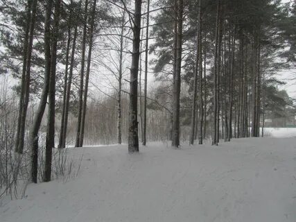 Нижнее борское