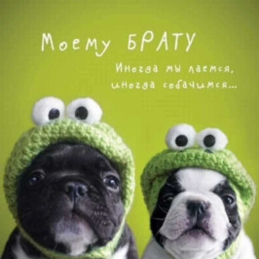 С днём рождения брату. Поздравление с днем рождения братишке смешные. Поздравления с днём рождения брату. Поздравление с днем рождения братишке смешные. Поздравление с днем рождения братишке смешные.