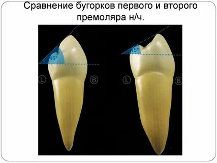 Разница верхних