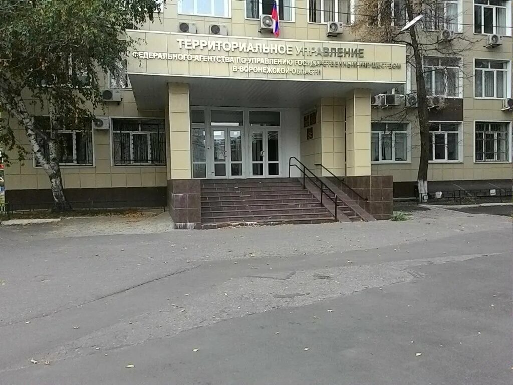 воронеж ул 9 января 36. воронеж ул. аптека 36 плюс воронеж. бауманская инженерная школа 1580. росимущество воронеж.