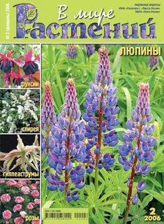 Мир растений интернет