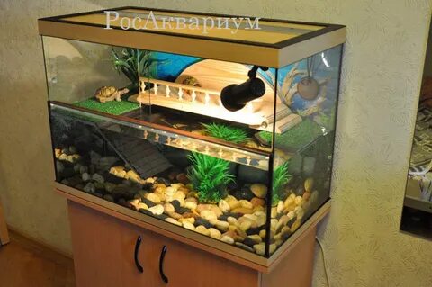 Акватеррариум красноухих черепах