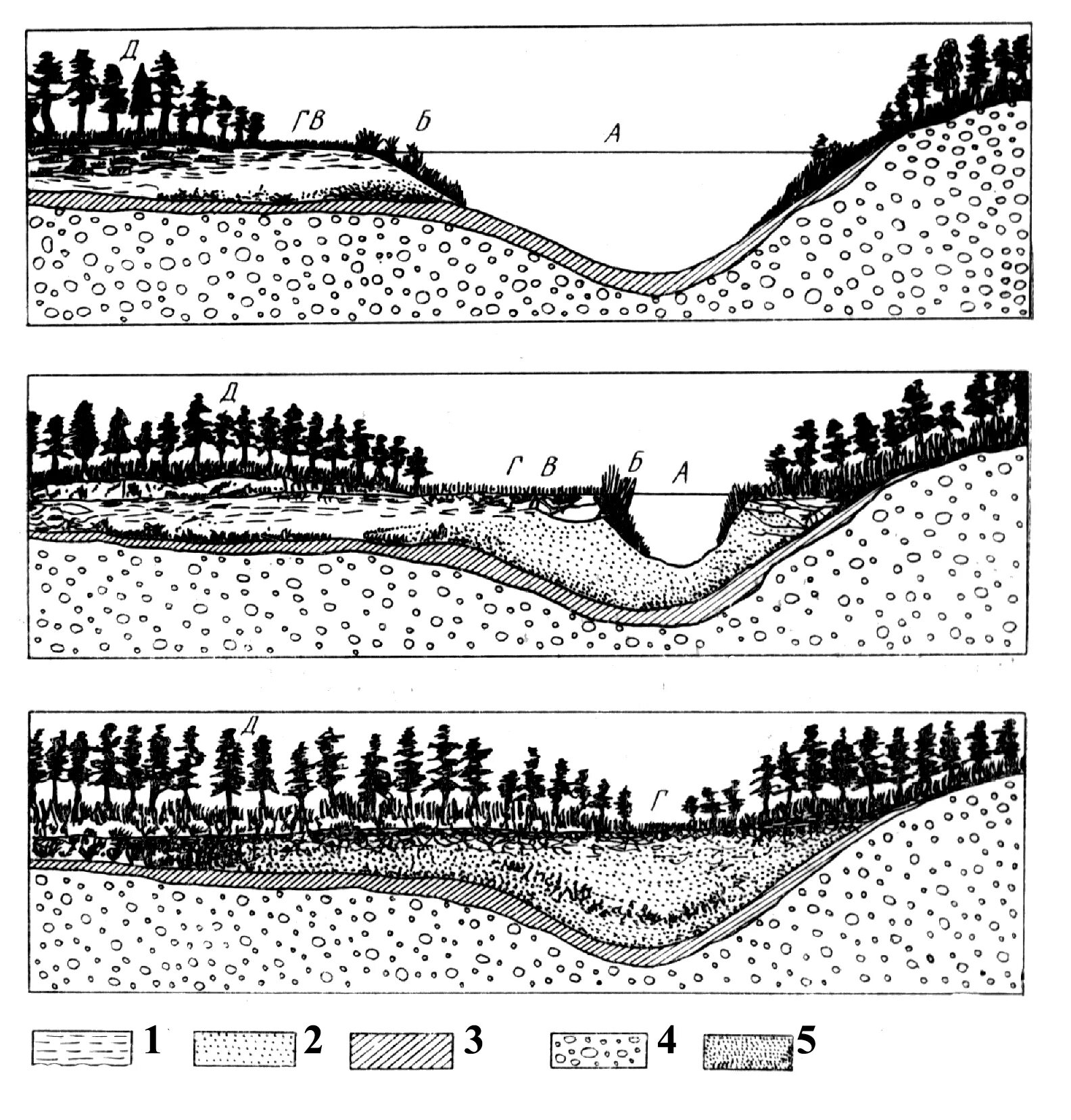 Возникновение болота. Геологическая деятельность озер и болот. Схема зарастания озера. Геологическая деятельность болот схема. Озерно-болотные отложения.