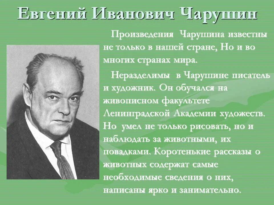 Рассказ интересный рассказ писатель. Портрет е.и Чарушина писателя.