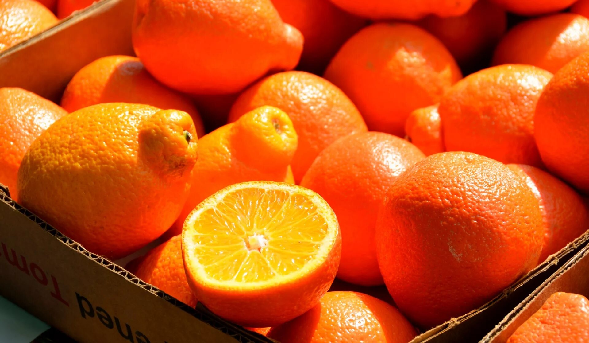 Цвет апельсина. Апельсин интернет. Цвет апельсина. Апельсин сушеный. Апельсин интернет.