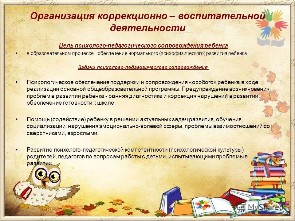 система коррекционно воспитательной работы