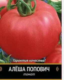 Алю сорт отзывы