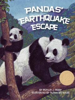 Панда книга