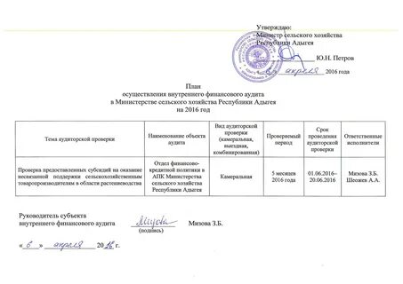 Аудит казенного учреждения